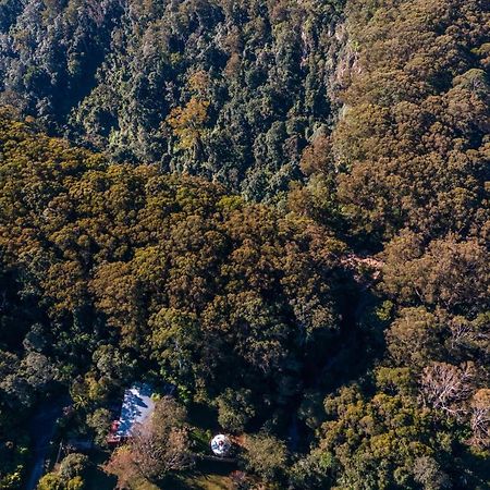 Hotel Purling Brook Falls Gwongorella Springbrook Exterior foto