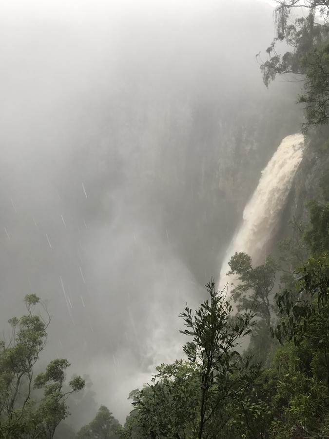 Hotel Purling Brook Falls Gwongorella Springbrook Exterior foto